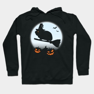 Halloween Guinea Pig Witch Hoodie